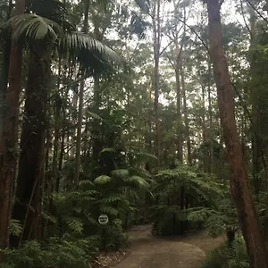 Mountain Lodge Springbrook