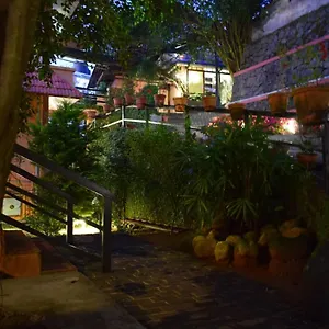 Shamrock Holiday home Munnar